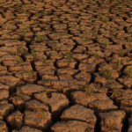 UK not adapted to extreme weather effects – Climate Change Committee